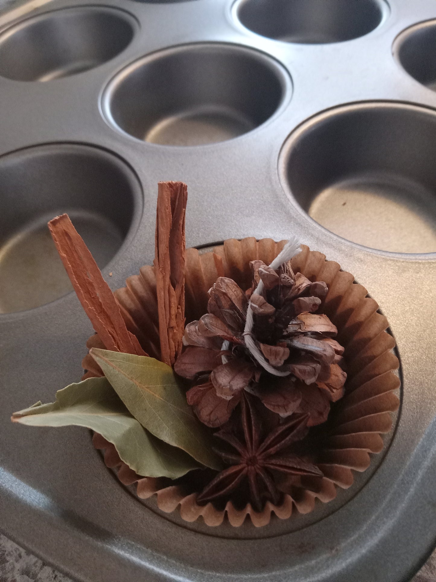 Desert Plants Fire Starter