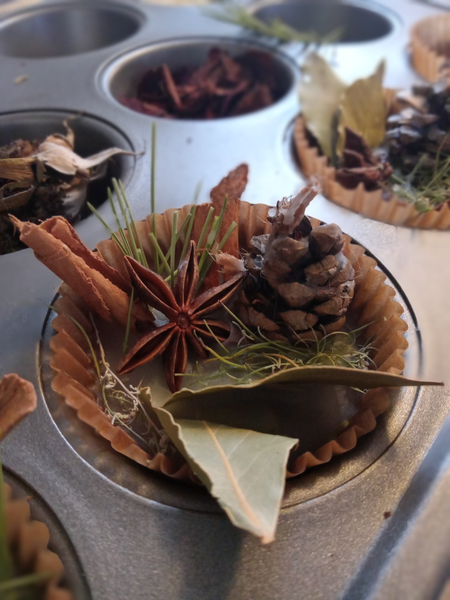 Desert Plants Fire Starter