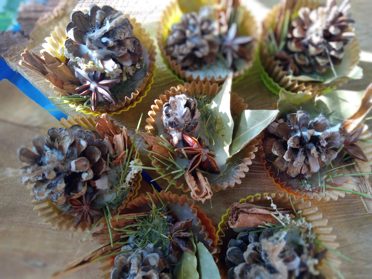 Desert Plants Fire Starter