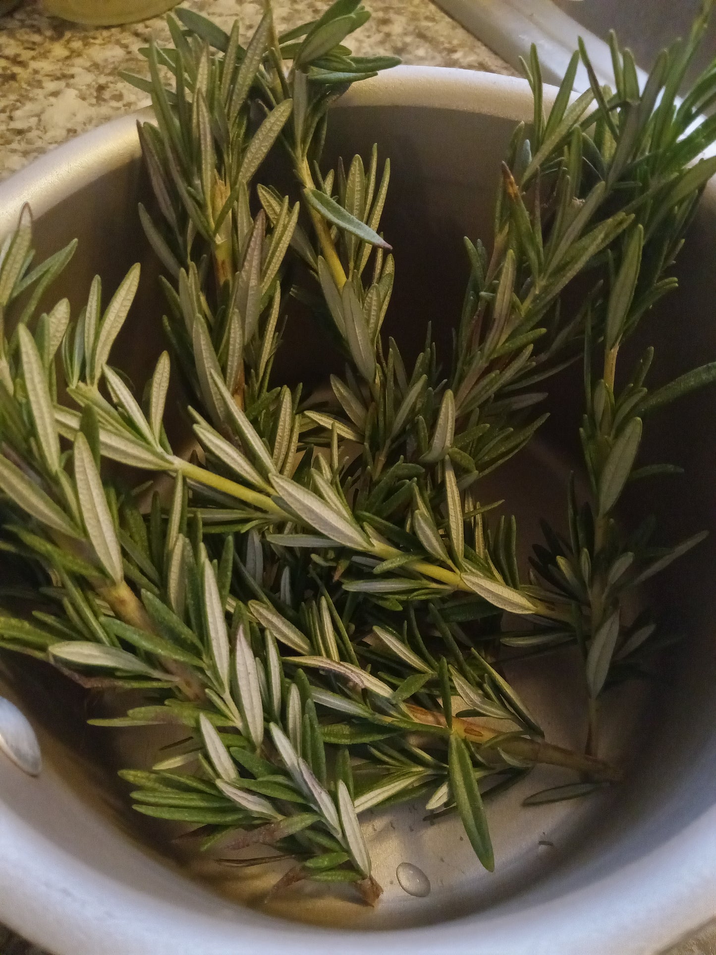 2 oz Rosemary, Hibiscus & Rose Hair Hydrosol & Sandalwood Comb
