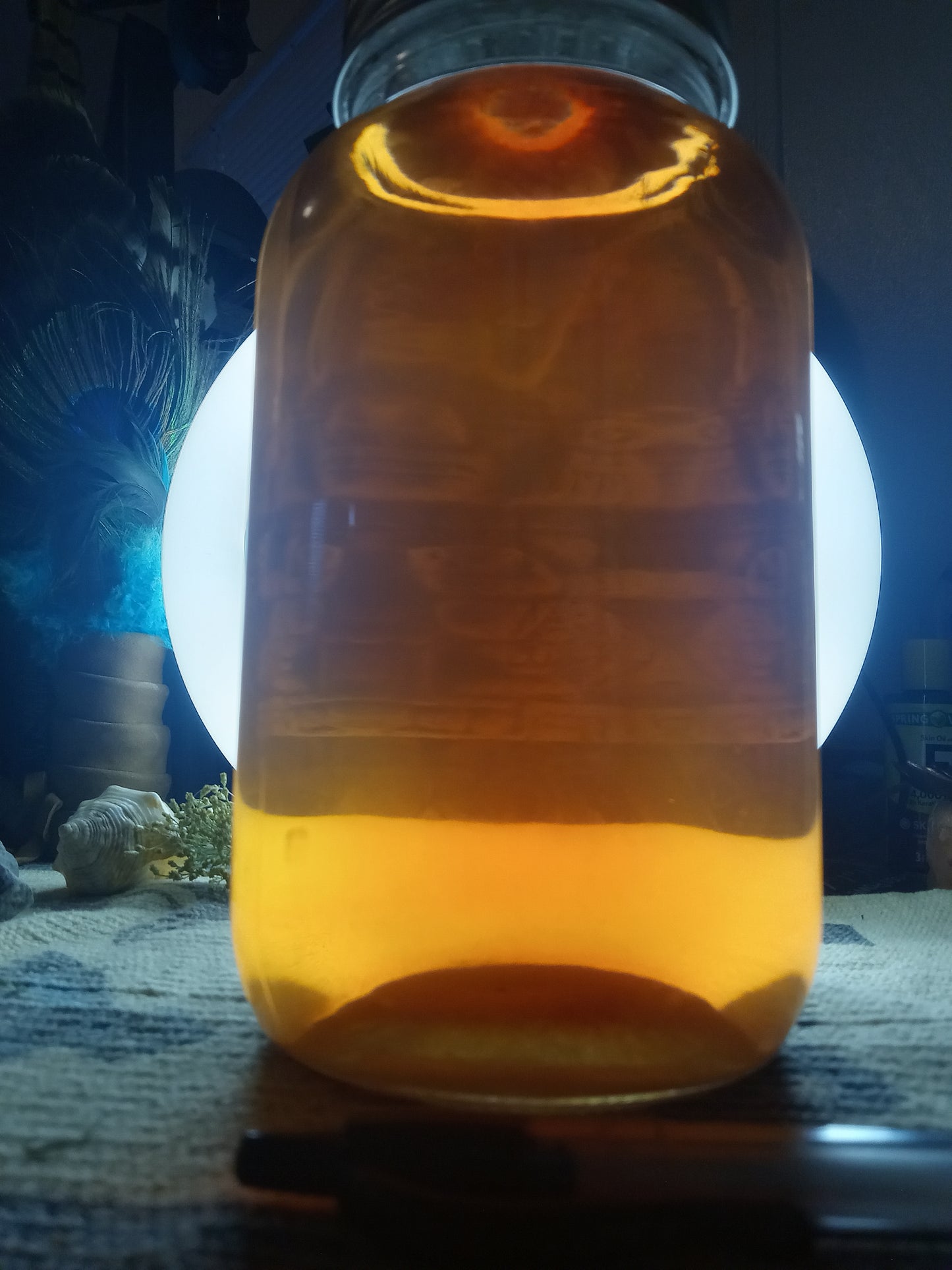 2 oz Rosemary, Hibiscus & Rose Hair Hydrosol & Sandalwood Comb