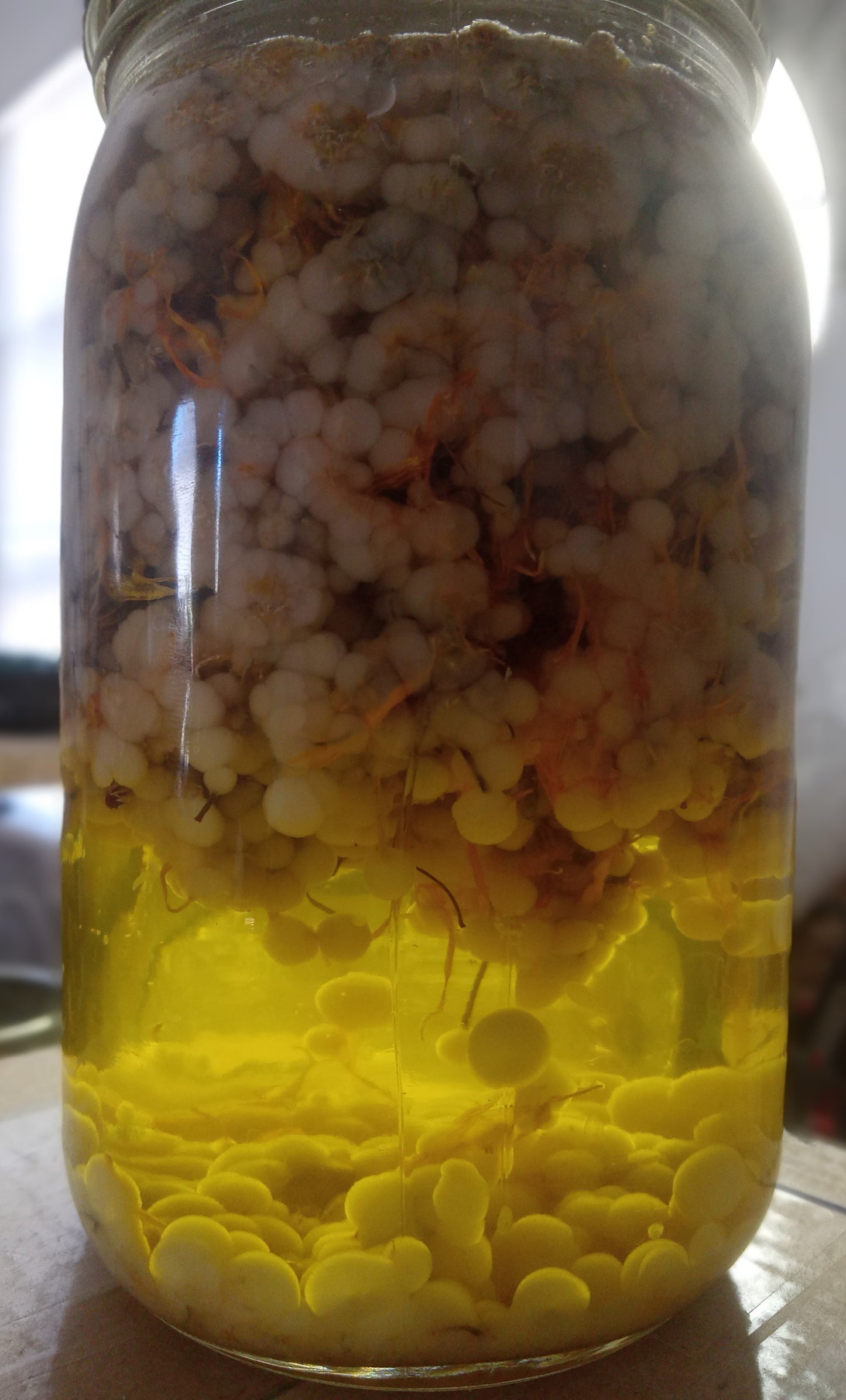 3 OZ Manzanilla & Calendula Body Butter (Chamomile & Calendula)