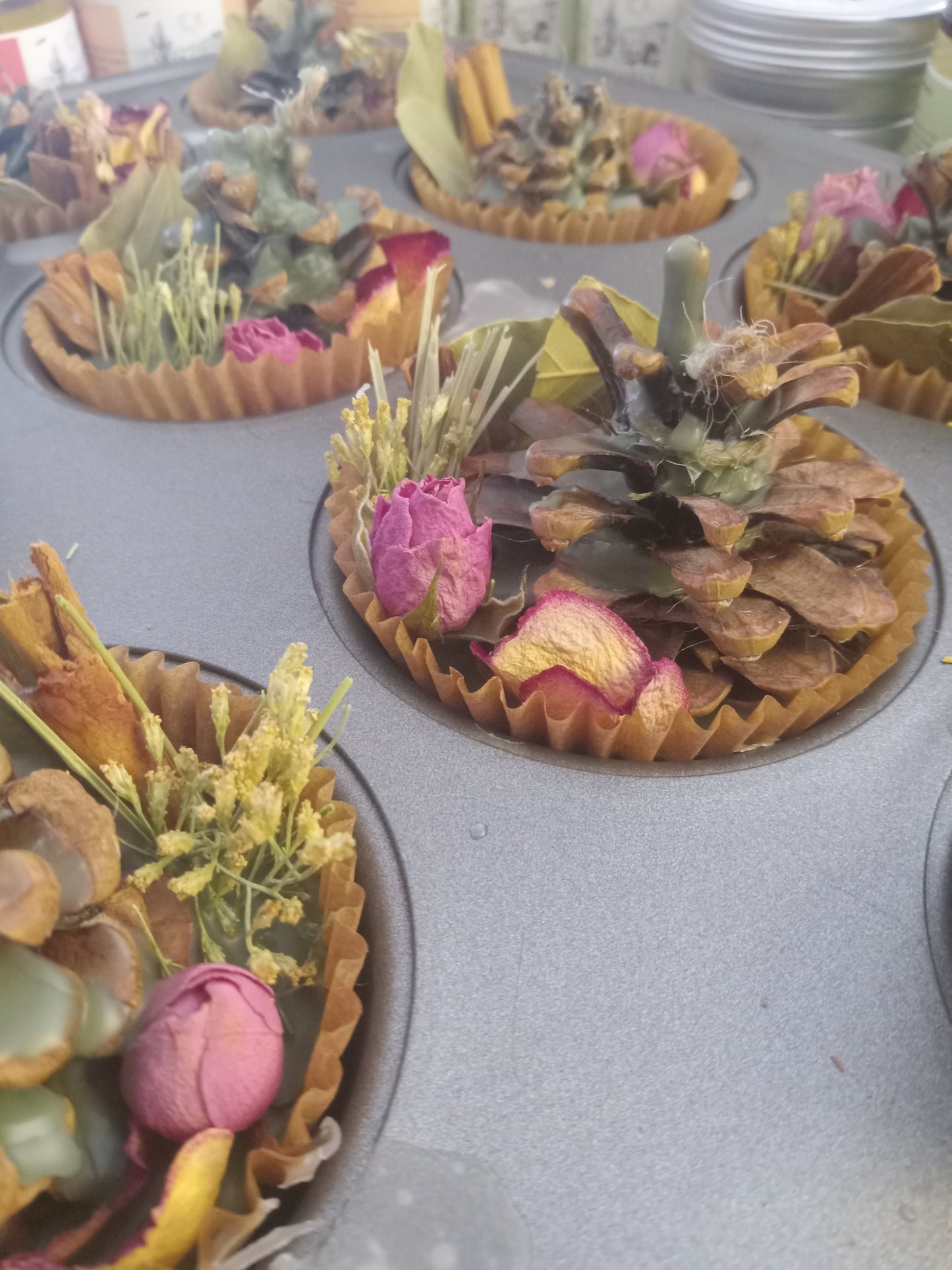 Desert Plants Fire Starter