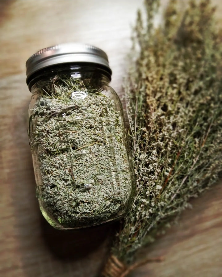2 oz Chamiso & Rosemary Body Butter (Big Sagebrush)
