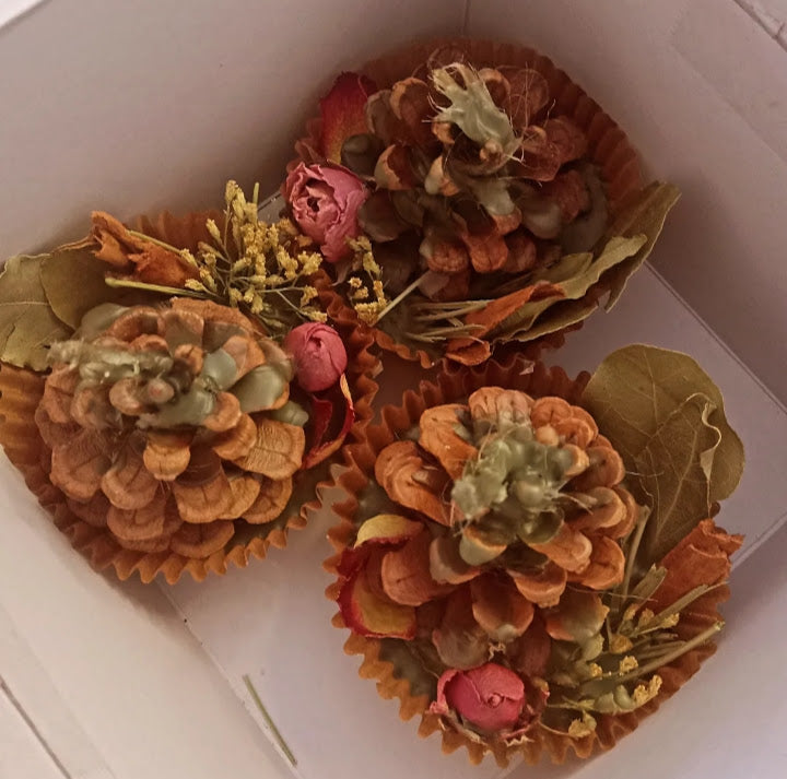 Desert Plants Fire Starter