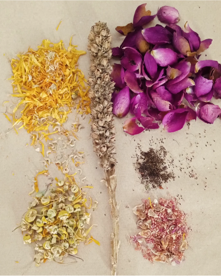 Aliento de la Noche — Sacred Mullein Torch