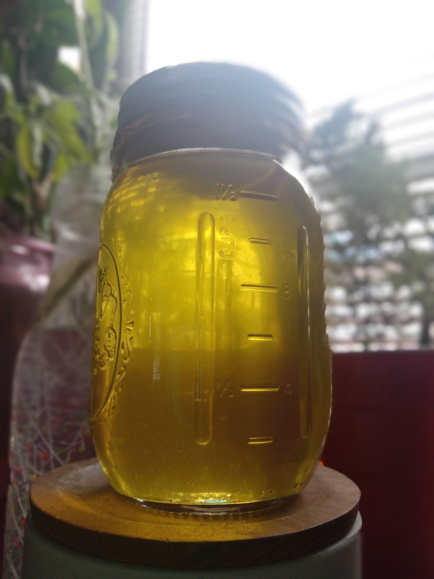 Broom Snakeweed Infused Oil 1 Oz