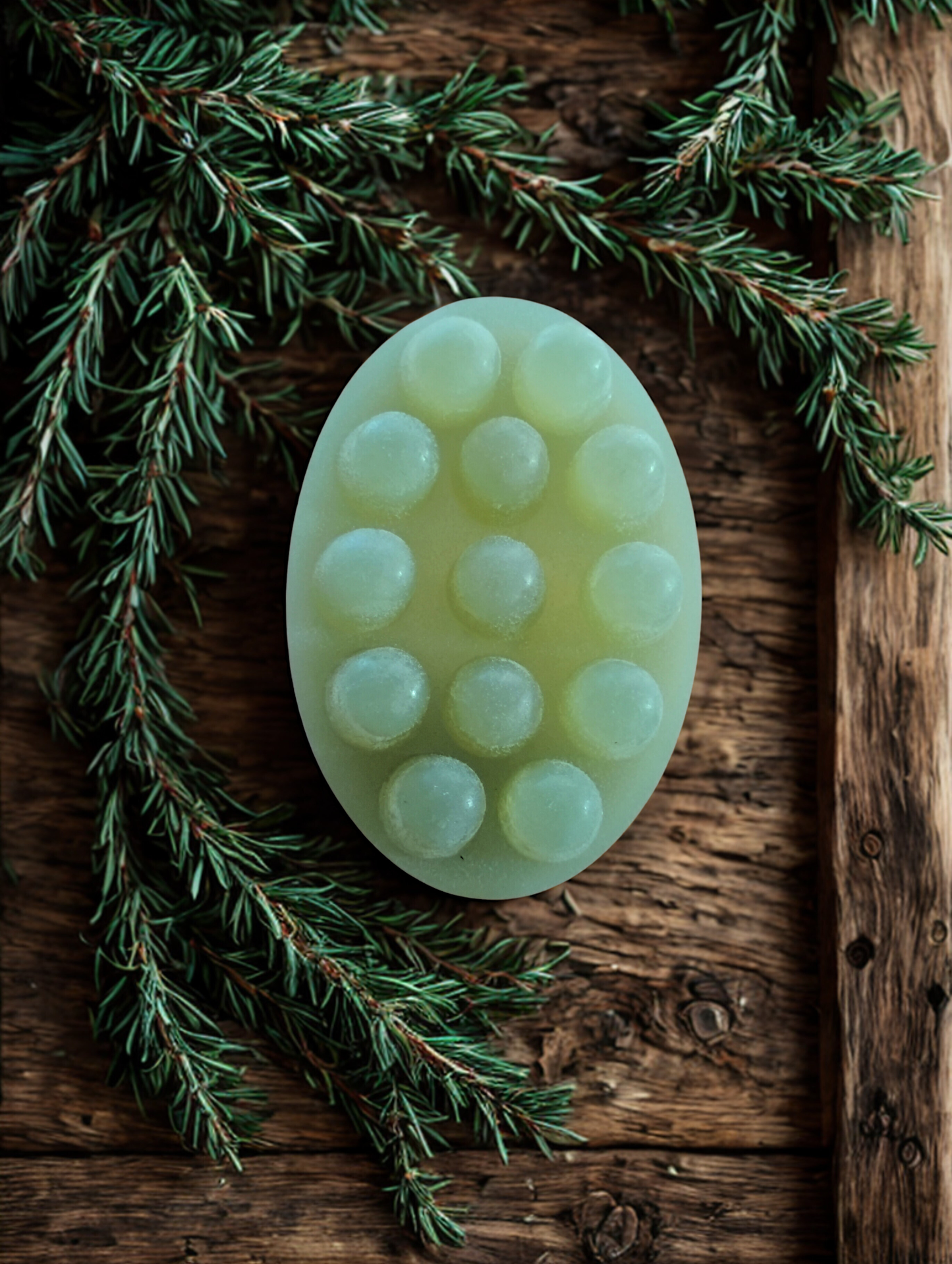rosemary peppermint shampoo bar breath of dawn