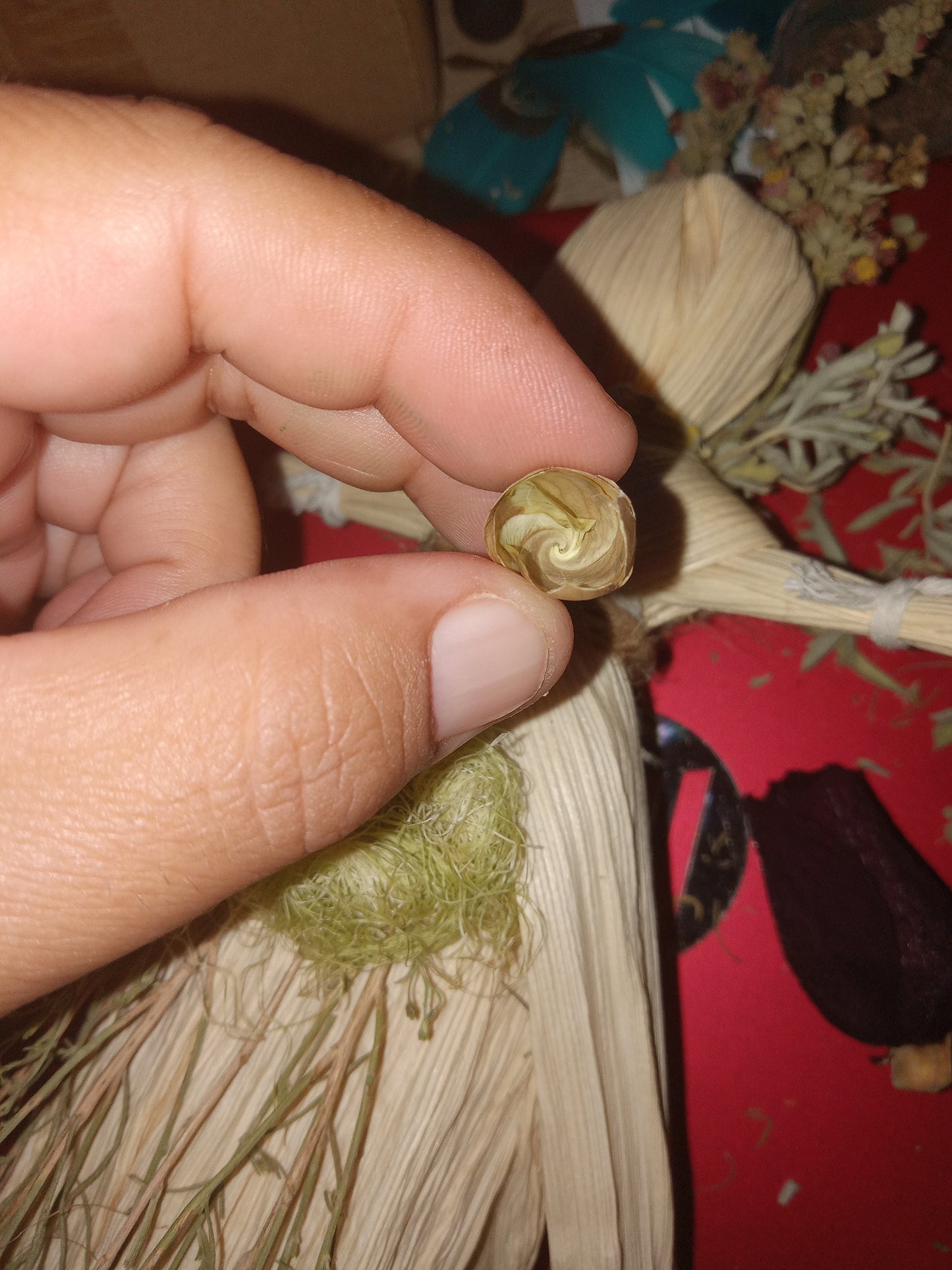 Spiral Gardenia Casting